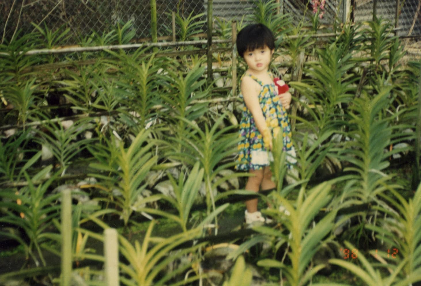 Our combined heritage