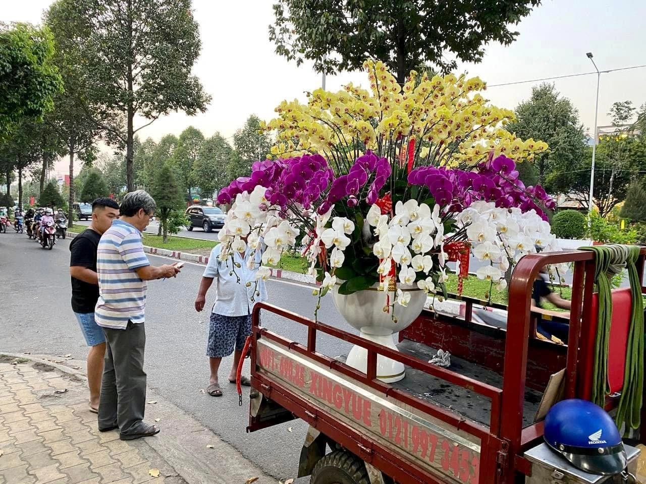 Ali's family orchid business